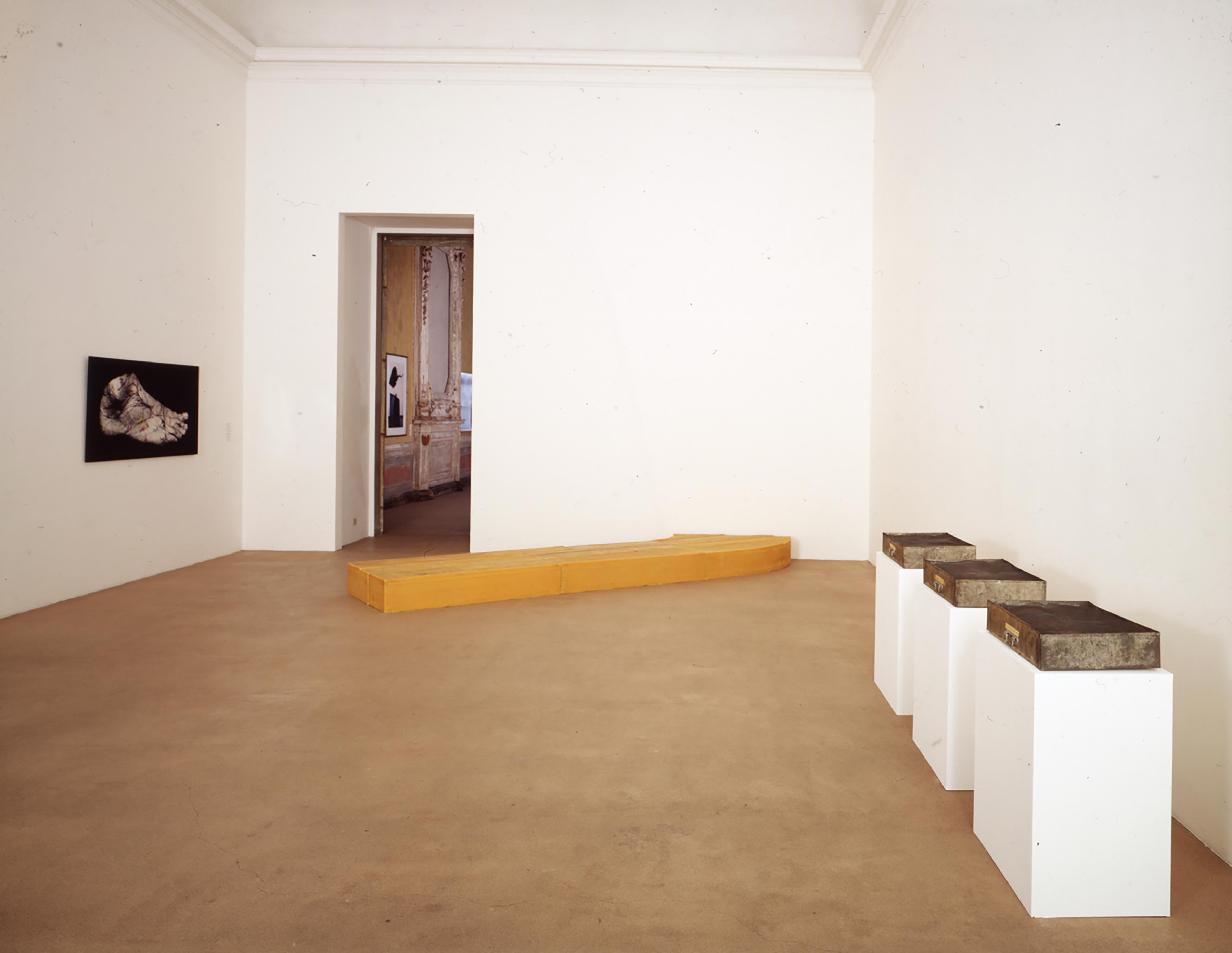 u0022Collezioni di Francia. Le opere dei fondi regionali du2019arte contemporaneau0022, veduta espositiva
